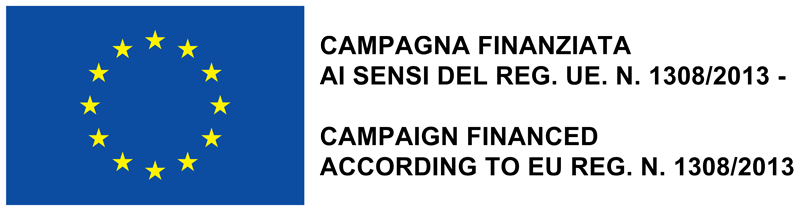 Logo finanziamento Unione Europea